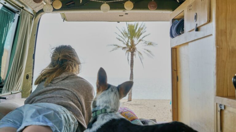 Girl looking out of converted campervan with dog.